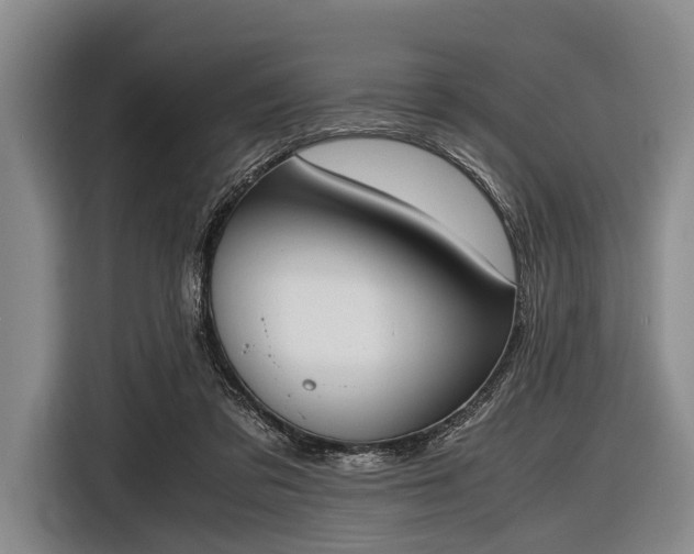 X0000116620309200912181310