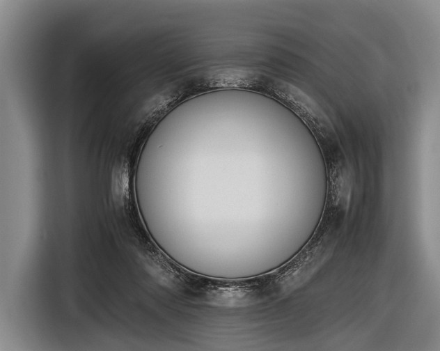 X0000116620310200912181310