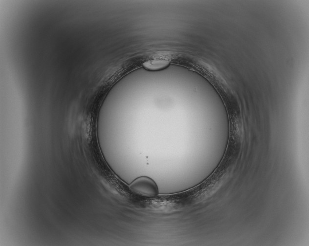 X0000116620311200912181310