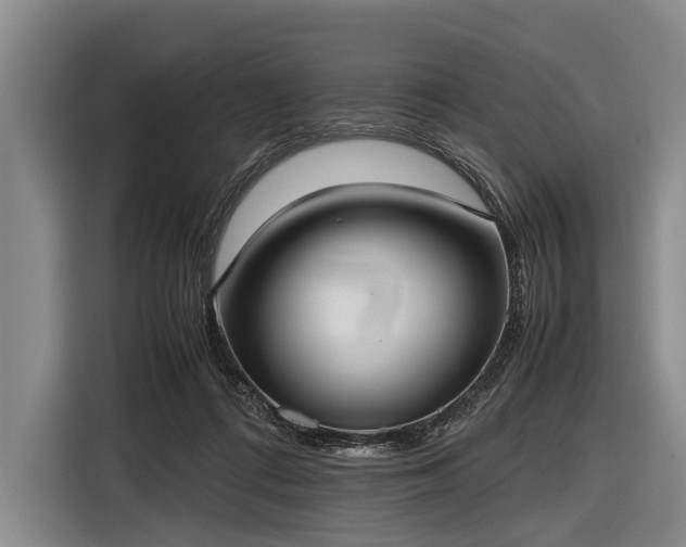 X0000116620312200912181310