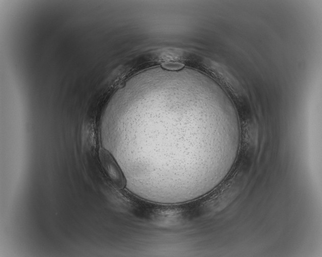 X0000116620313200912181310