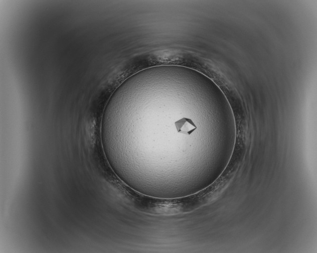 X0000116620319200912181310