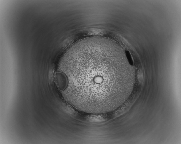 X0000116620322200912181310