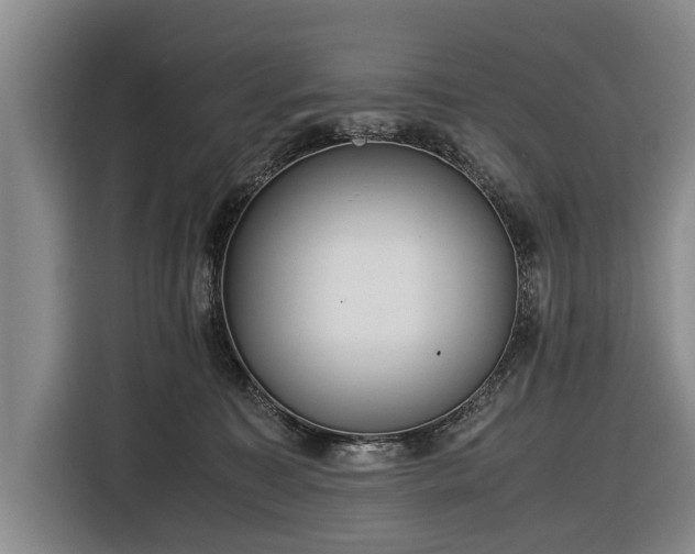 X0000116620323200912181310