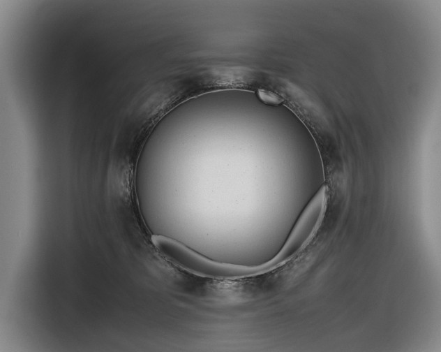 X0000116620325200912181310