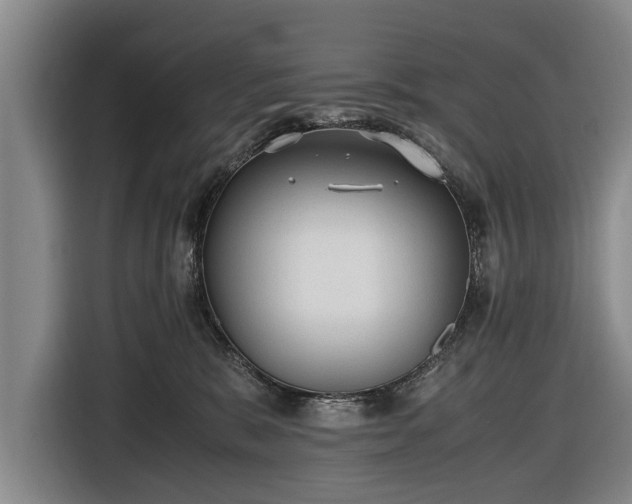 X0000116620327200912181310