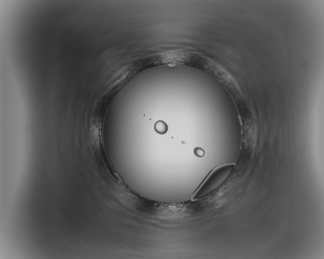 X0000116620329200912181310