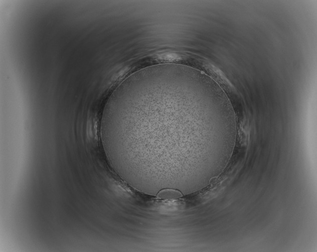 X0000116620330200912181310