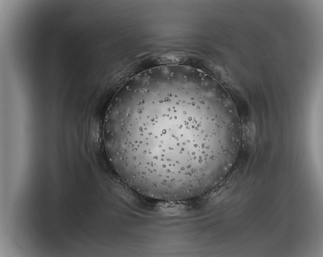 X0000116620331200912181310