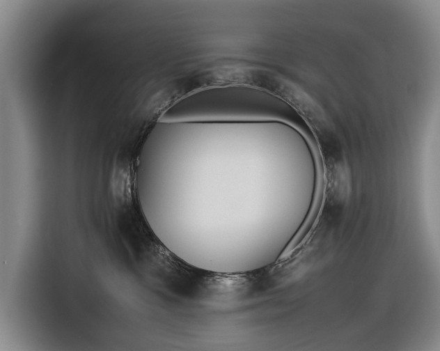 X0000116620333200912181310