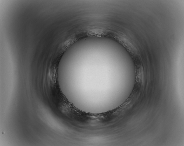 X0000116620334200912181310