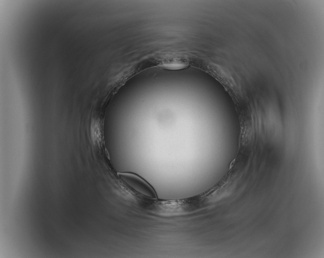 X0000116620335200912181310