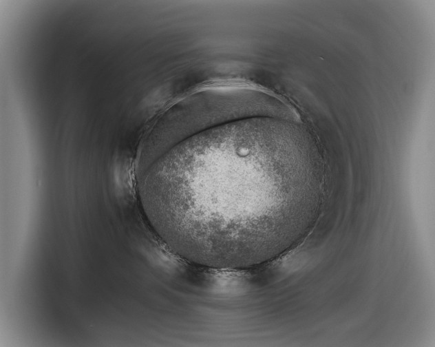 X0000116620336200912181310