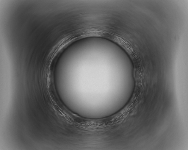 X0000116620338200912181309