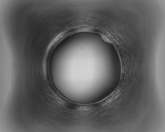 X0000116620341200912181309