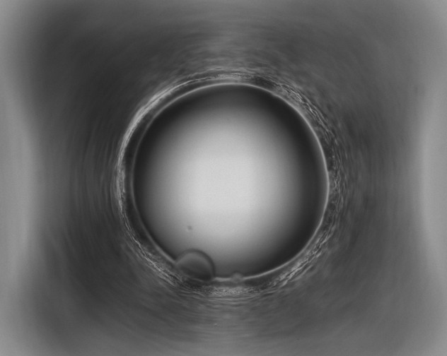 X0000116620342200912181309