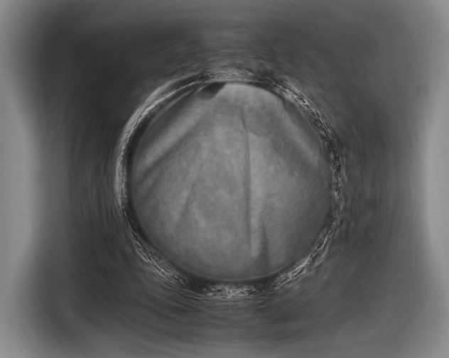 X0000116620343200912181309