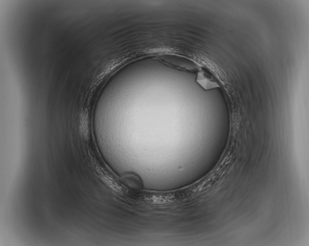 X0000116620345200912181309