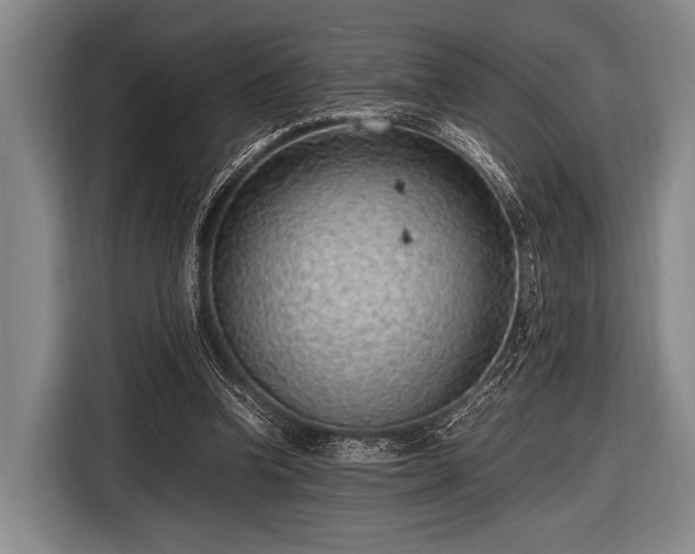 X0000116620346200912181309