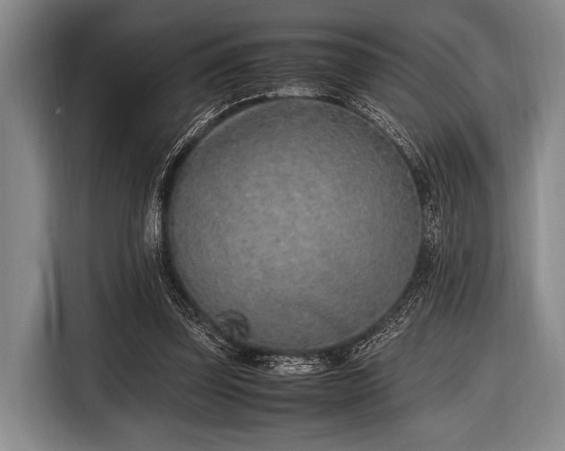 X0000116620347200912181309