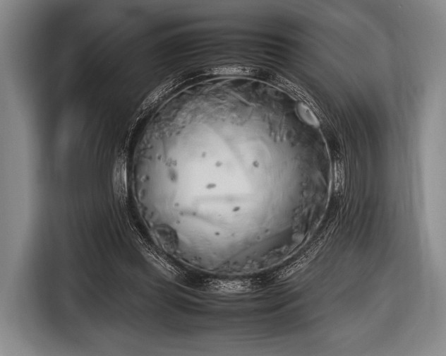 X0000116620349200912181309