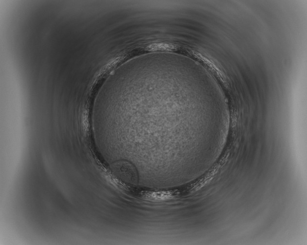 X0000116620353200912181309