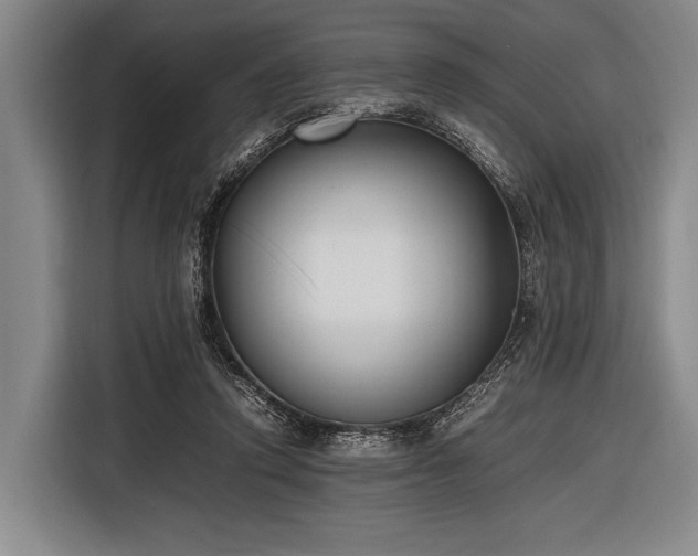 X0000116620354200912181309