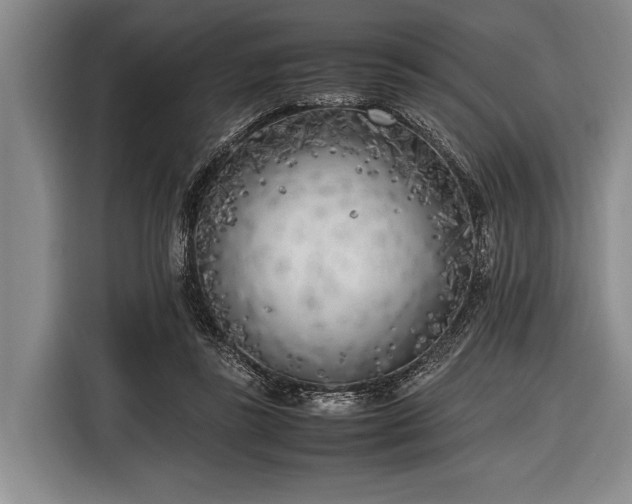 X0000116620355200912181309