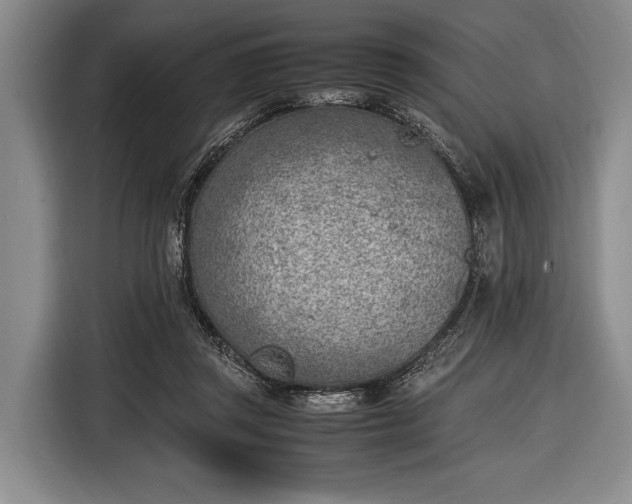 X0000116620357200912181309