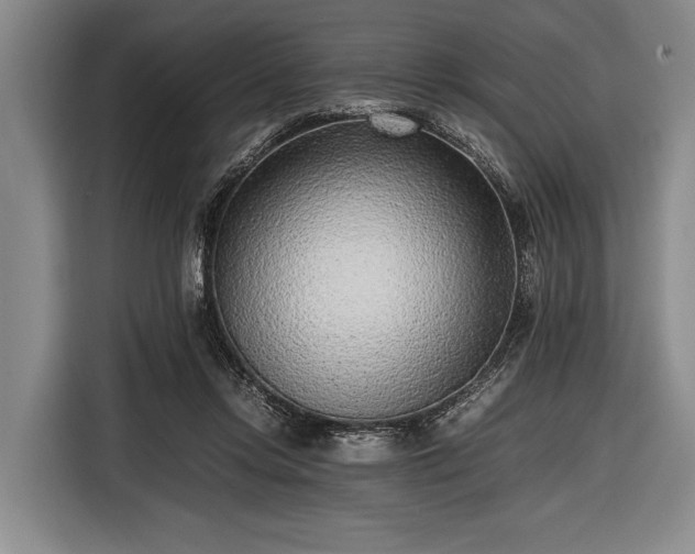 X0000116620358200912181309