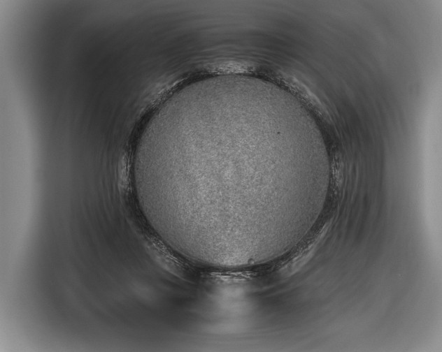 X0000116620359200912181309