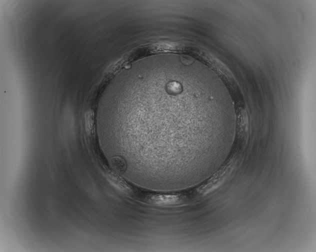 X0000116620361200912181309