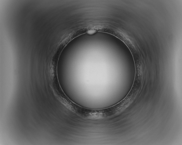 X0000116620362200912181309