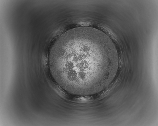 X0000116620365200912181309