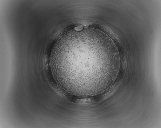 X0000116620366200912181309