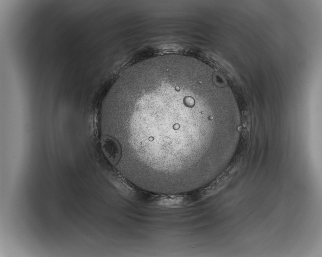 X0000116620369200912181309