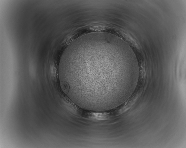 X0000116620371200912181310