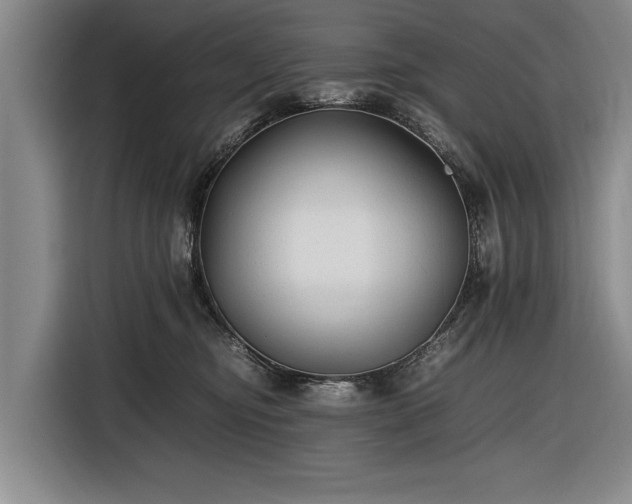 X0000116620374200912181310