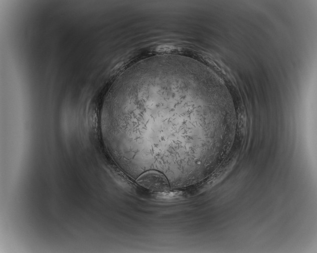 X0000116620375200912181310