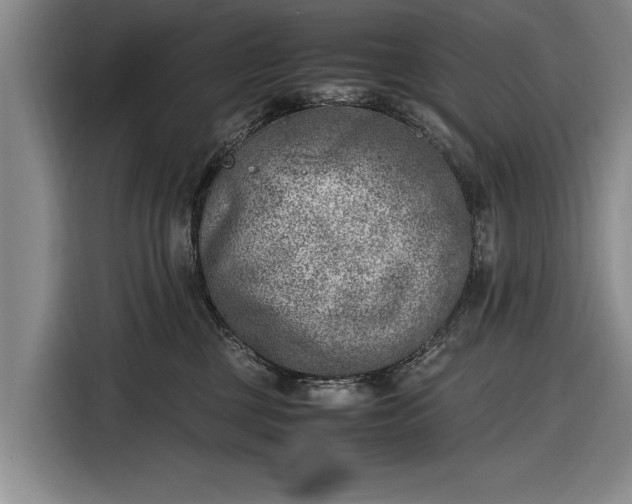 X0000116620377200912181310