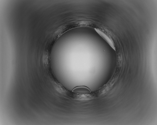 X0000116620379200912181310