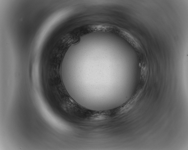 X0000116620381200912181310