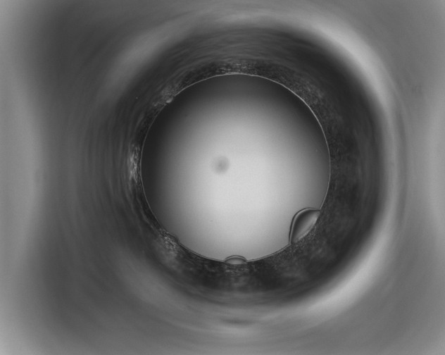 X0000116620382200912181310