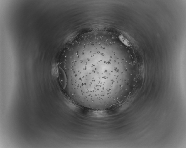 X0000116620383200912181310