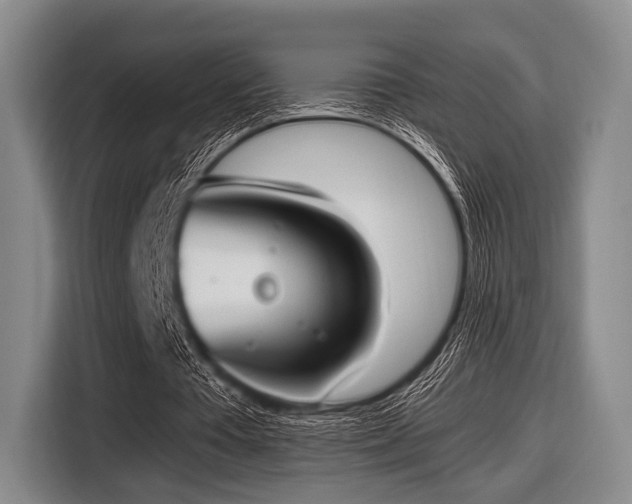 X0000116620385200912181309