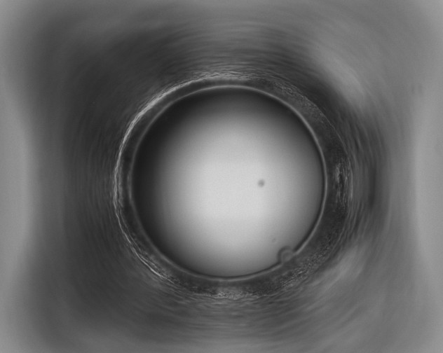 X0000116620388200912181309