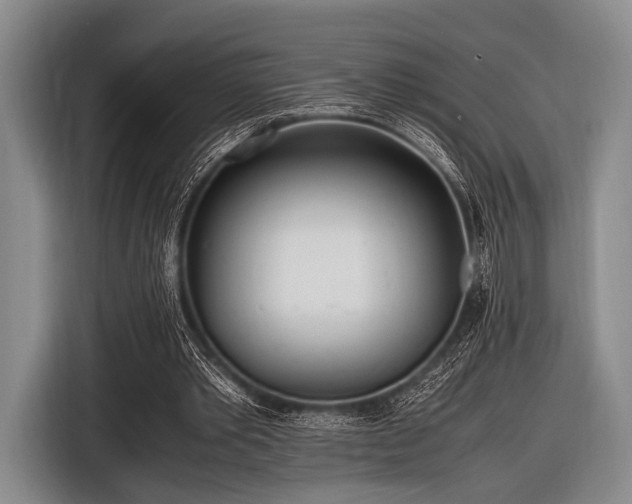 X0000116620389200912181309