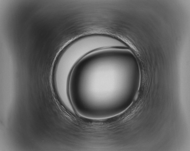 X0000116620391200912181309