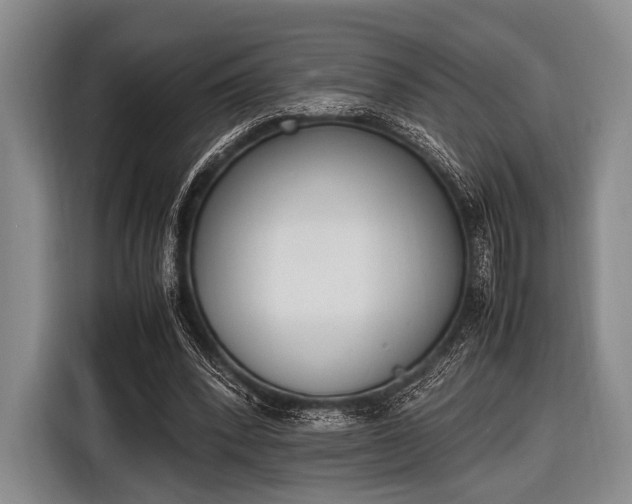 X0000116620392200912181309