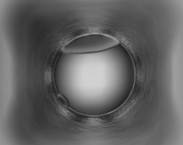 X0000116620393200912181309